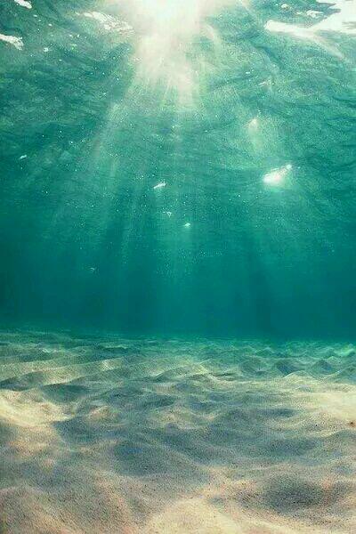 替嫁婚宠顾少宠妻花样多完整版大结局